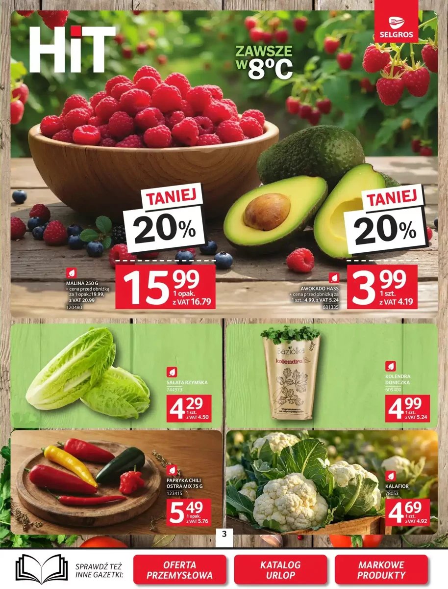 Strona 3 z gazetki Selgros