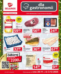 Gazetka Selgros – 20.11.2025 – 03.12.2025