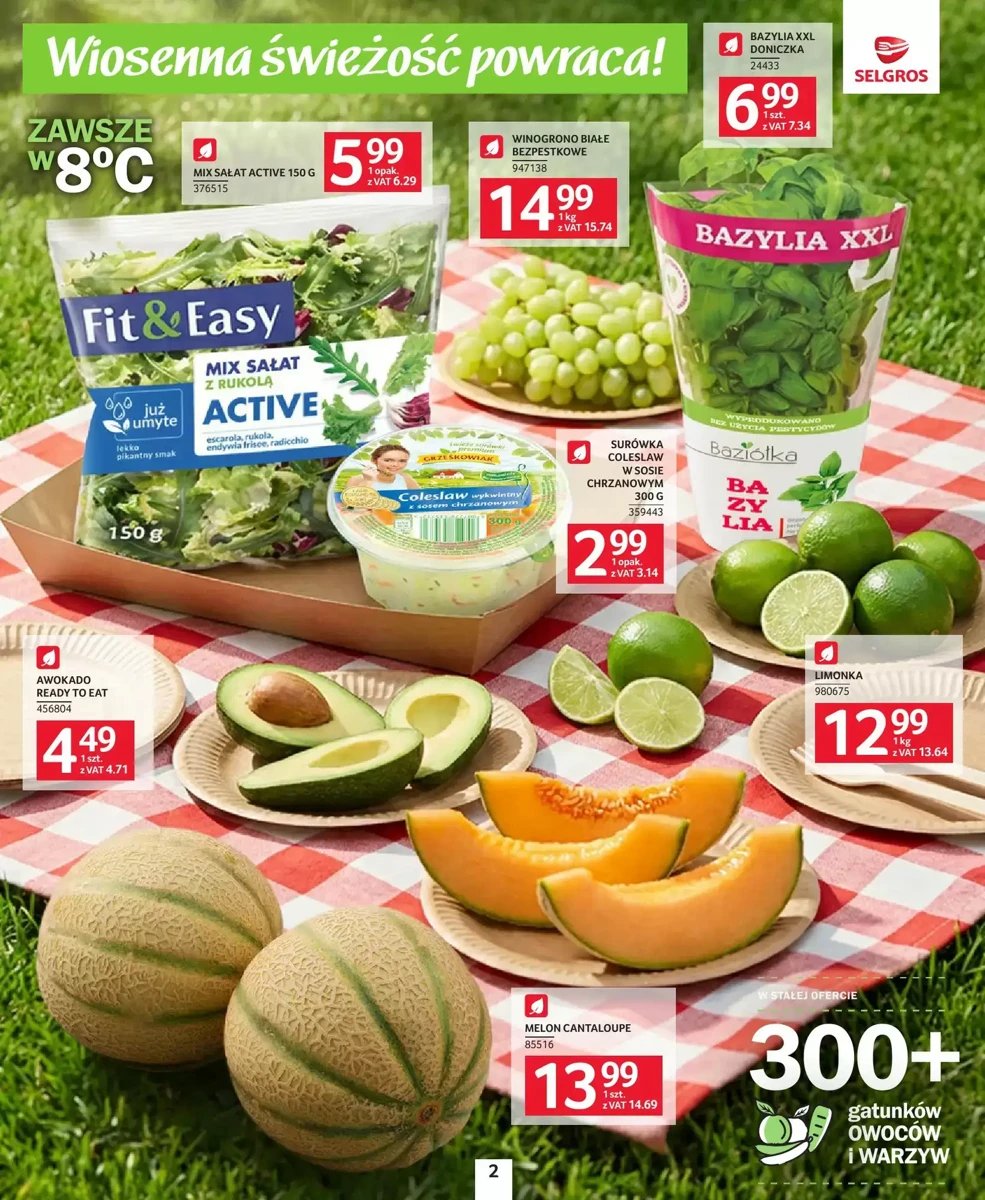 Strona 2 z gazetki Selgros