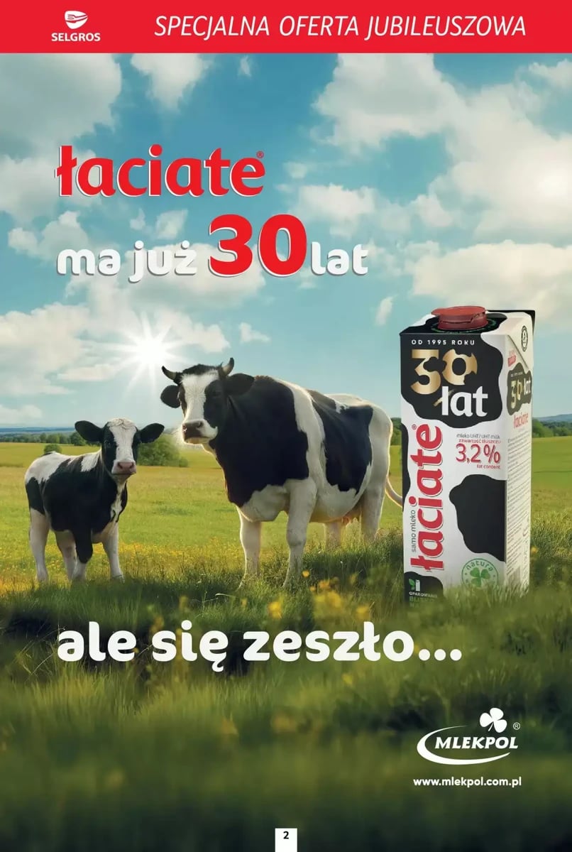 Strona 2 z gazetki Selgros