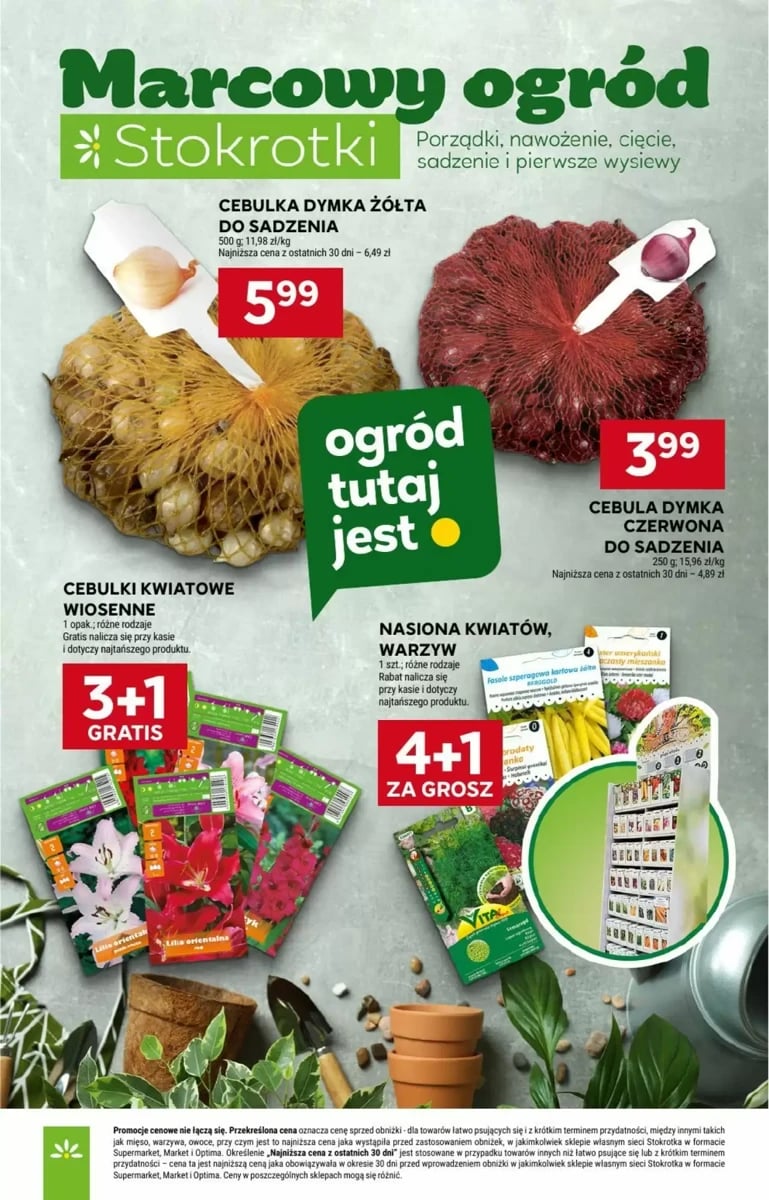 Strona 19 z gazetki Stokrotka