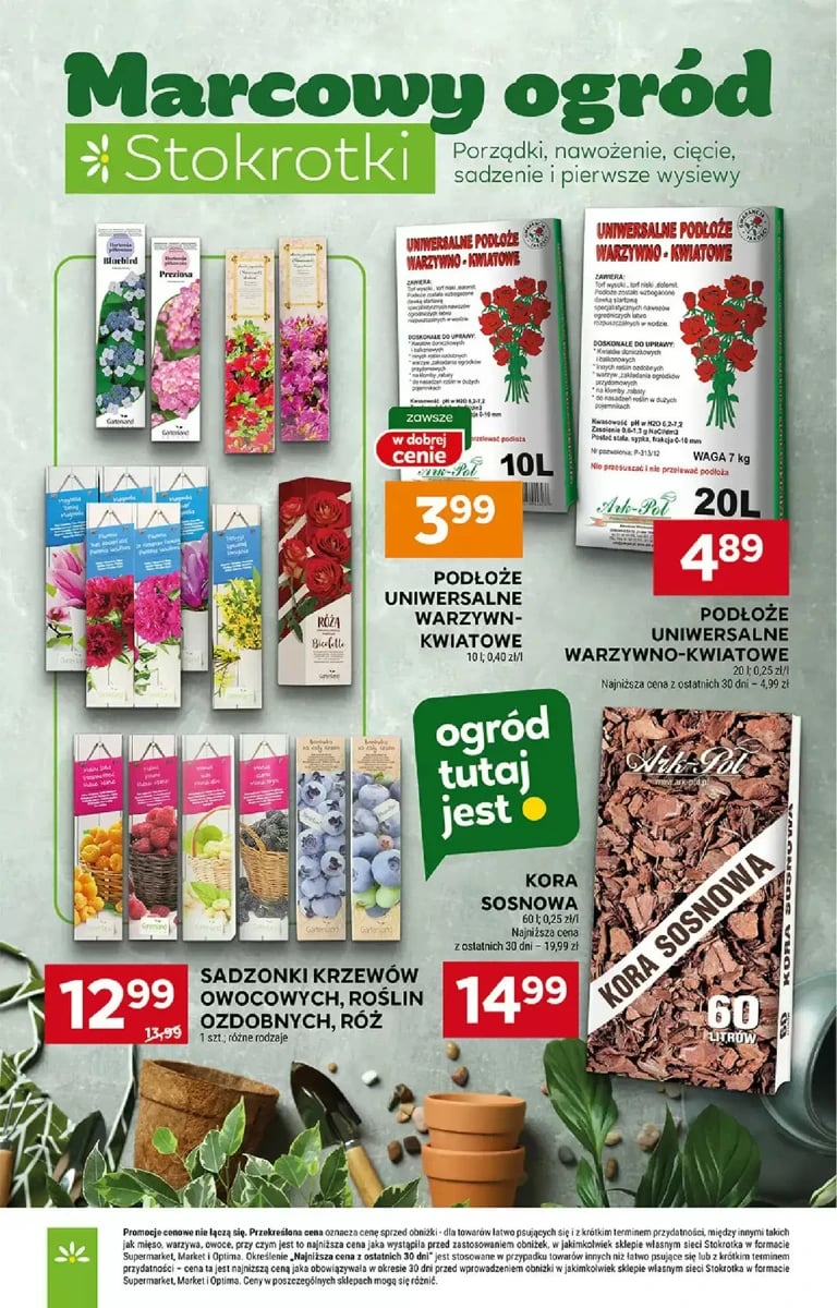 Strona 3 z gazetki Stokrotka
