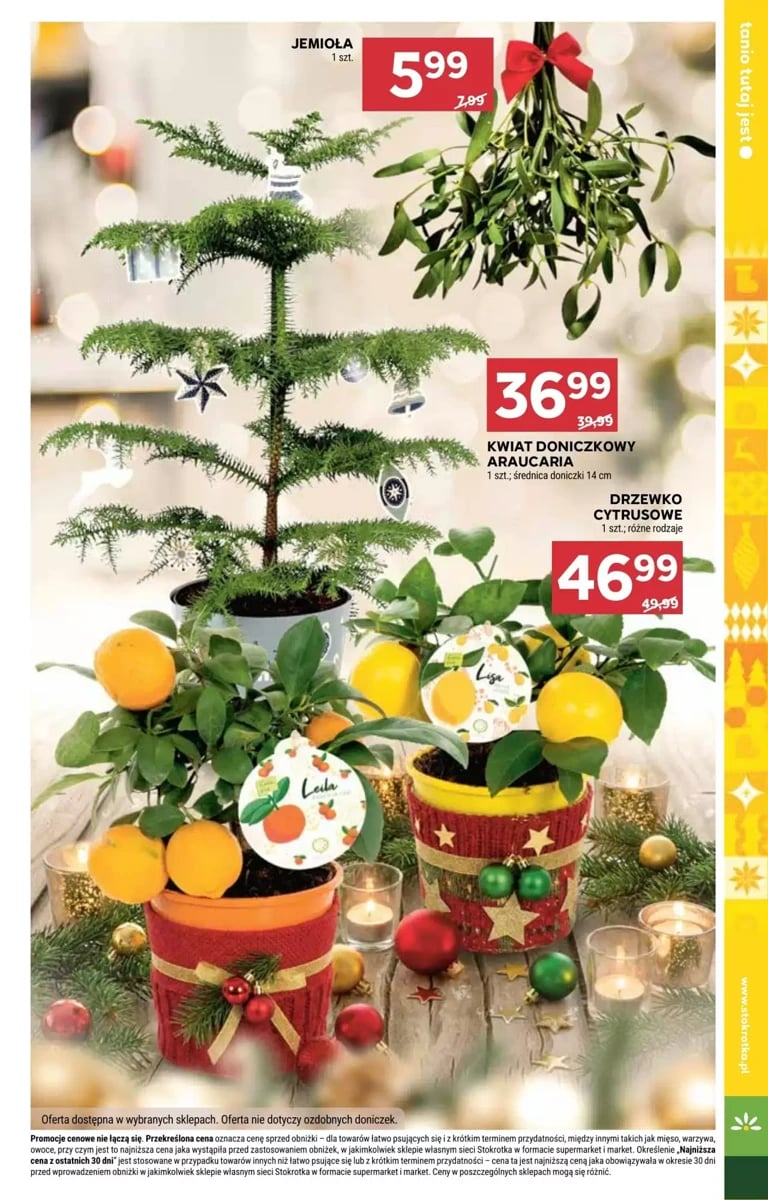 Strona 42 z gazetki Stokrotka
