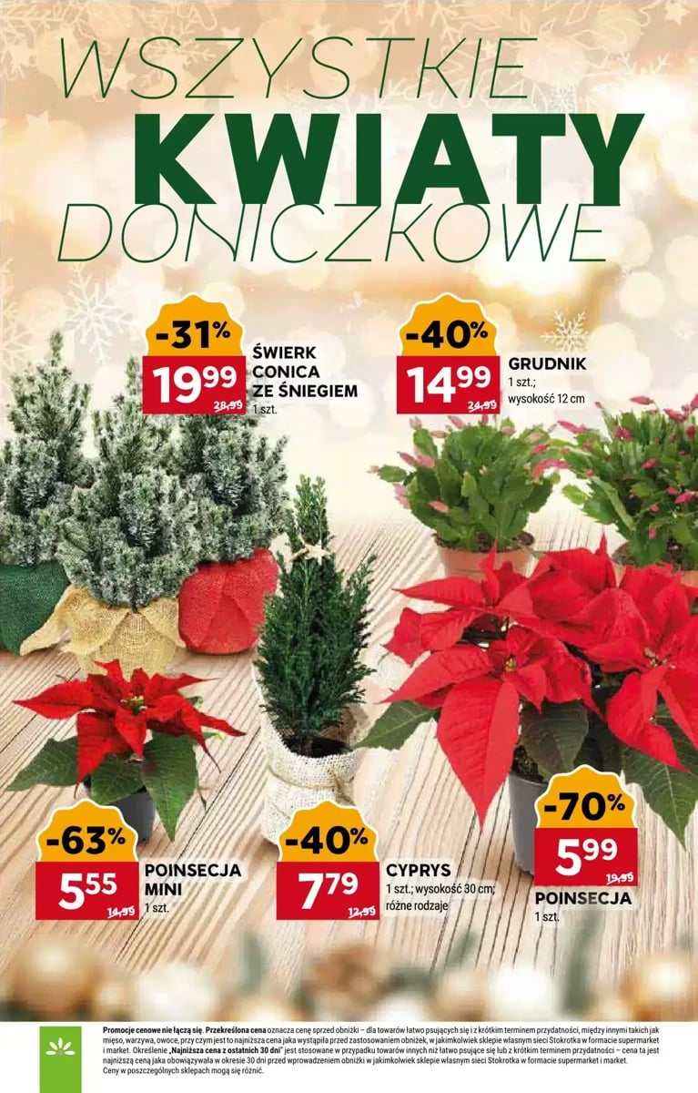 Strona 10 z gazetki Stokrotka
