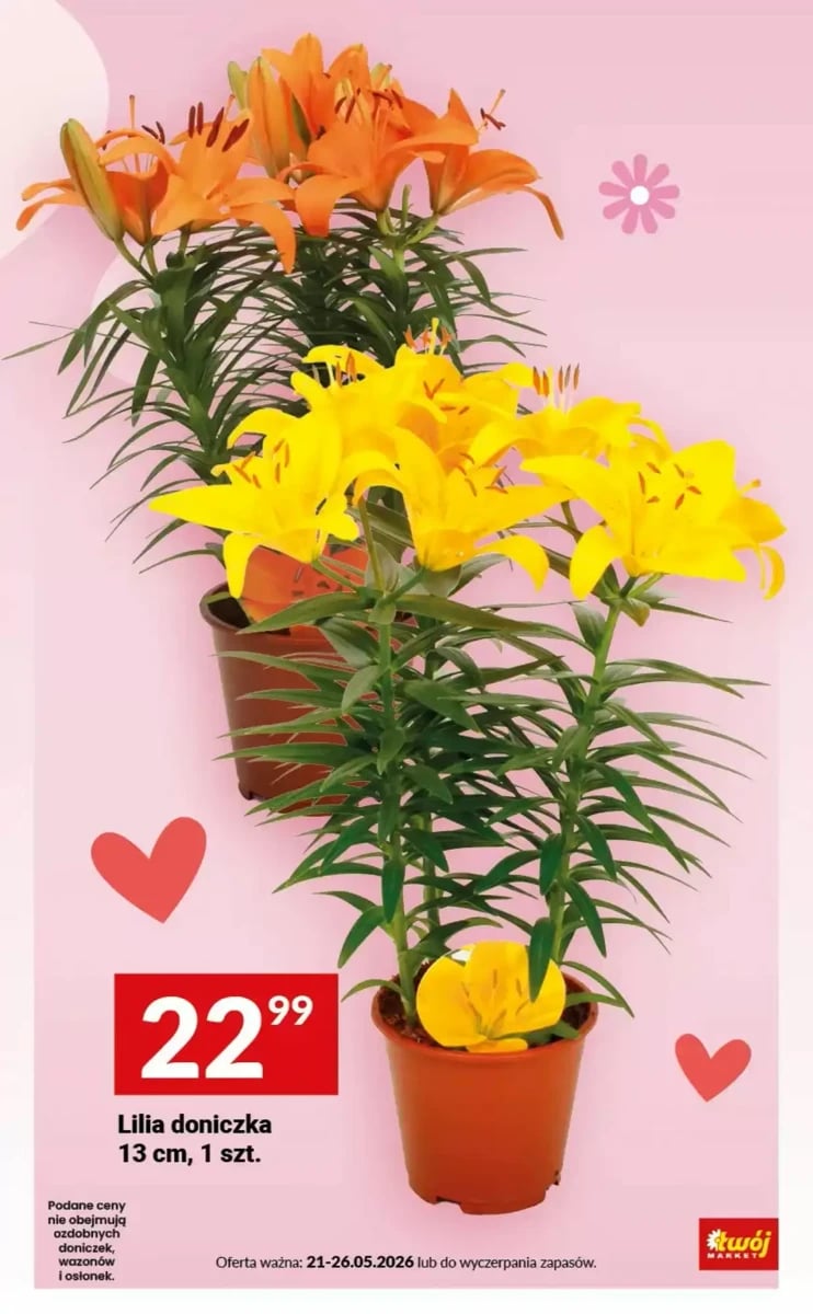 Strona 11 z gazetki Twoj Market