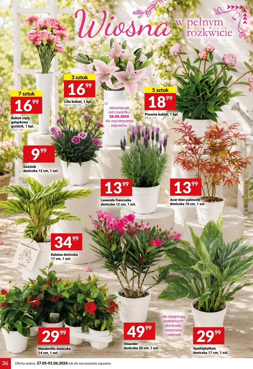 Strona 36 z gazetki Twoj Market